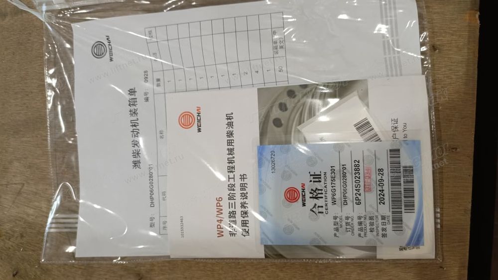Двигатель в сборе DHP06G0280-01